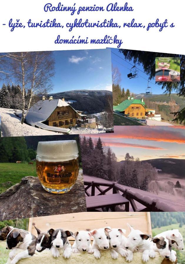 Penzion Alenka Špindlerŭv Mlýn Ngoại thất bức ảnh